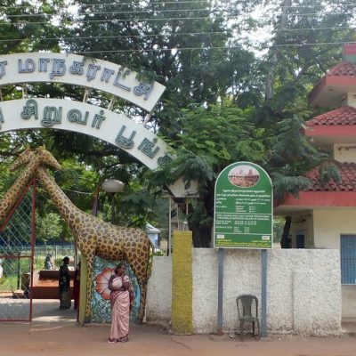 Rajaji Park